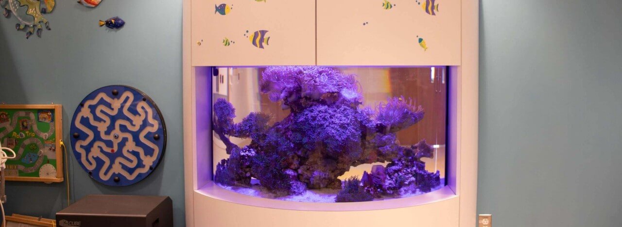 aquarium