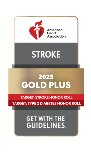 american heart association 2024
