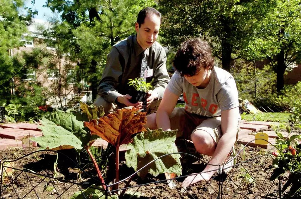 two people gardening
