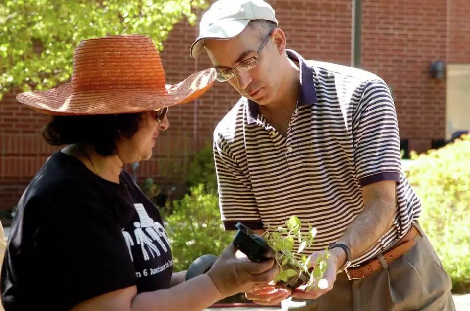 two people looking over a plant