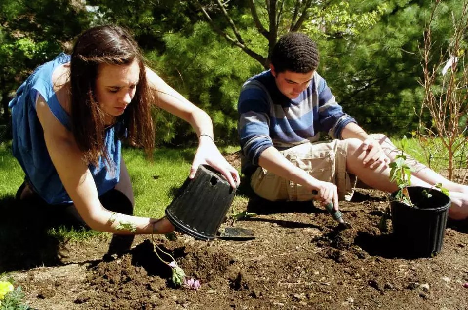 two people gardening